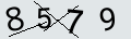 verifycode
